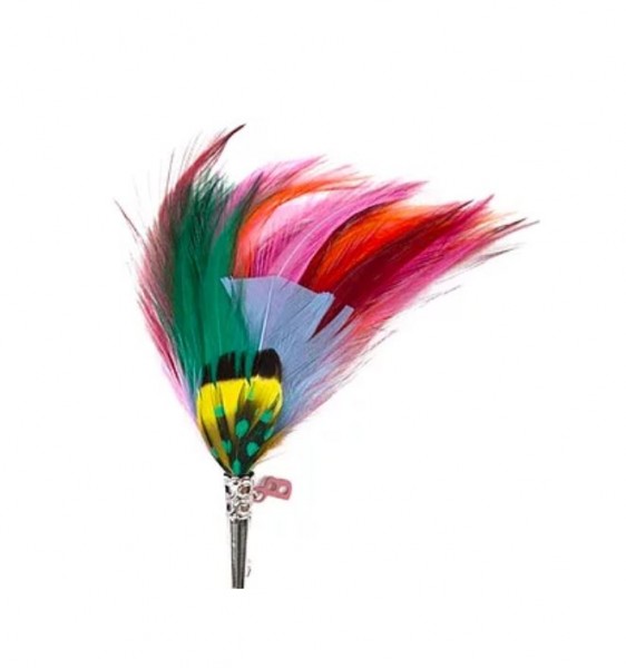 feather brooch . LOOSE . multicolor