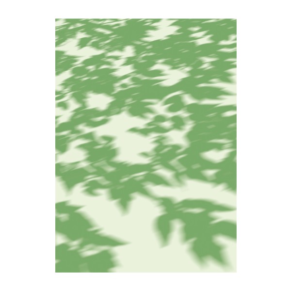 Geschenkpapier . AVANTGARDE . BLATTWERK . edited by muse