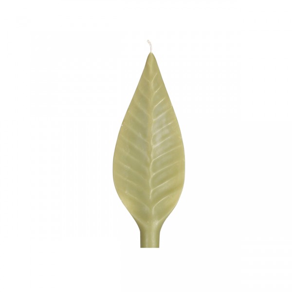 Candle . LEAF . S