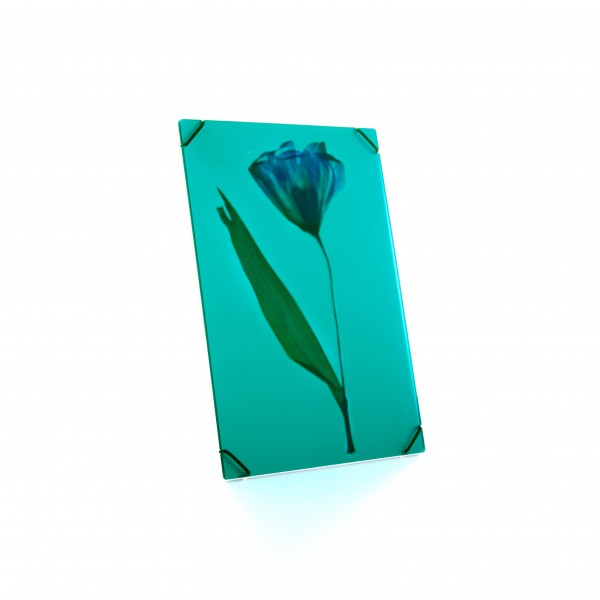 Flower frame . BOGMAN . DIN A5 azure